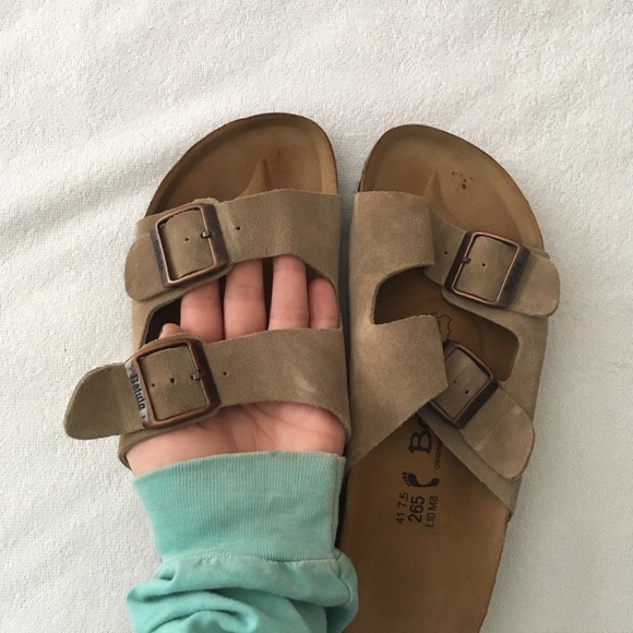 Betula Birks 2025